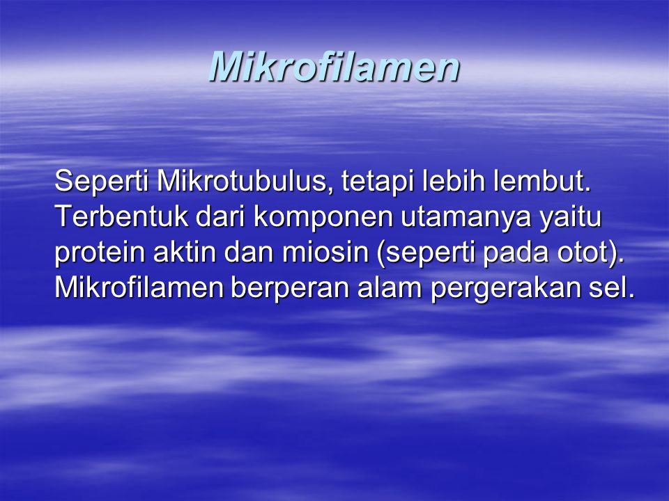Mikrofilamen