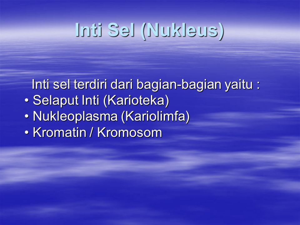 Inti Sel (Nukleus) Inti sel terdiri dari bagian-bagian yaitu : • Selaput Inti (Karioteka) • Nukleoplasma (Kariolimfa) • Kromatin / Kromosom.
