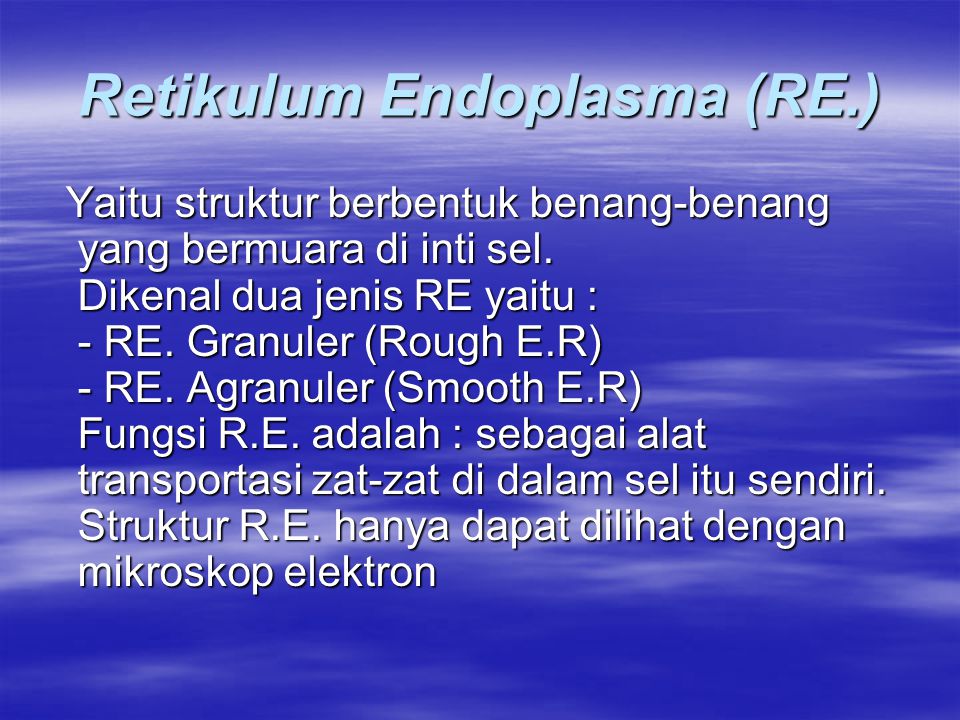 Retikulum Endoplasma (RE.)