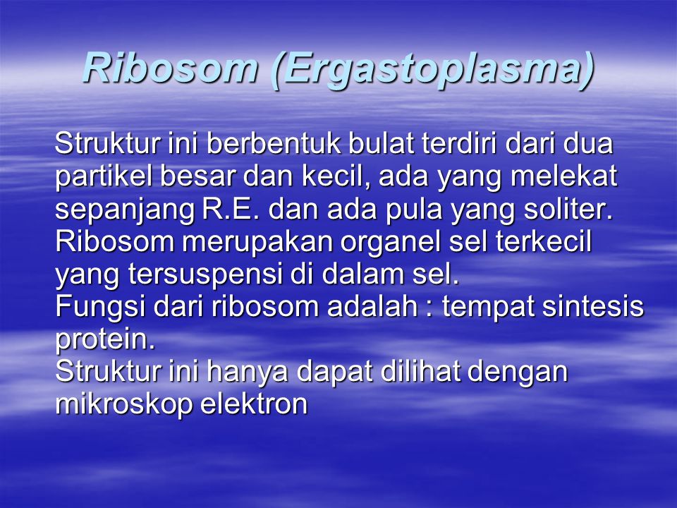 Ribosom (Ergastoplasma)