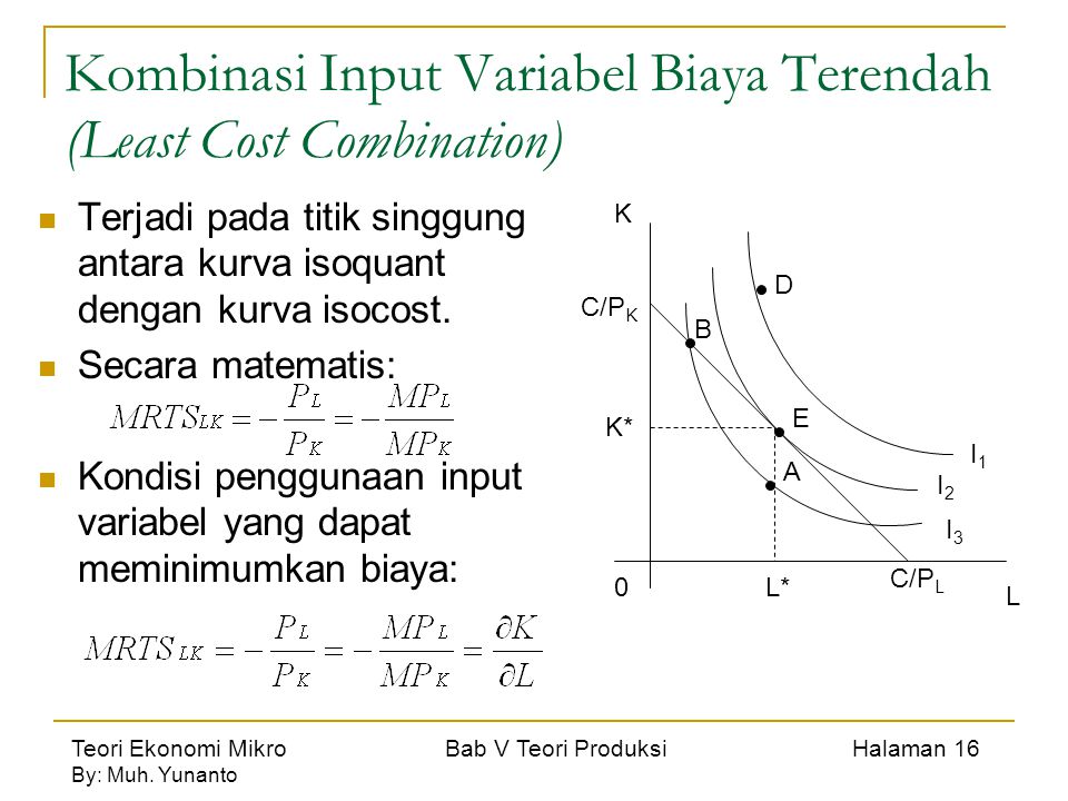 Kombinasi Input Variabel Biaya Terendah (Least Cost Combination)