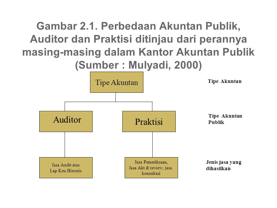 Gambar 2.1. Perbedaan Akuntan Publik, Auditor dan Praktisi ditinjau dari perannya masing-masing dalam Kantor Akuntan Publik (Sumber : Mulyadi, 2000)
