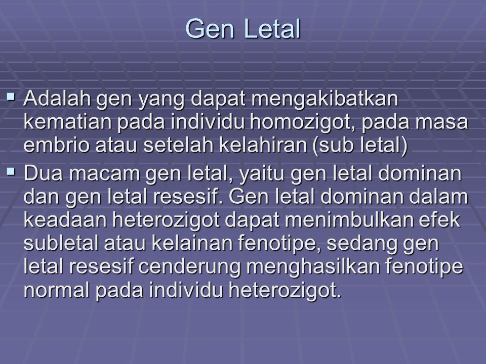 Gen Letal Adalah gen yang dapat mengakibatkan kematian pada individu homozigot, pada masa embrio atau setelah kelahiran (sub letal)