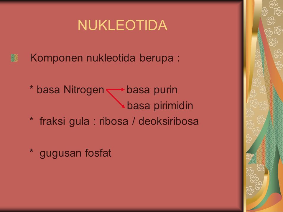 NUKLEOTIDA Komponen nukleotida berupa : * basa Nitrogen basa purin