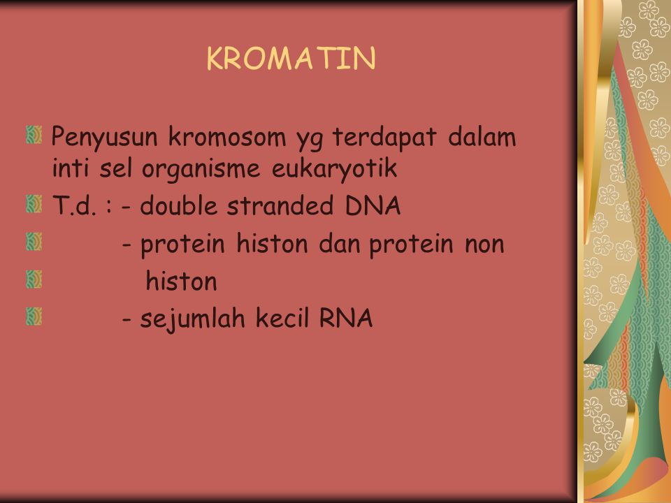 KROMATIN Penyusun kromosom yg terdapat dalam inti sel organisme eukaryotik. T.d. : - double stranded DNA.