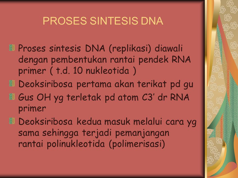 PROSES SINTESIS DNA Proses sintesis DNA (replikasi) diawali dengan pembentukan rantai pendek RNA primer ( t.d. 10 nukleotida )