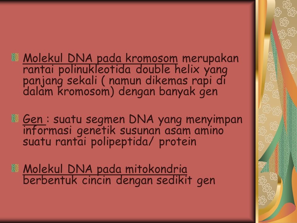 Molekul DNA pada kromosom merupakan rantai polinukleotida double helix yang panjang sekali ( namun dikemas rapi di dalam kromosom) dengan banyak gen