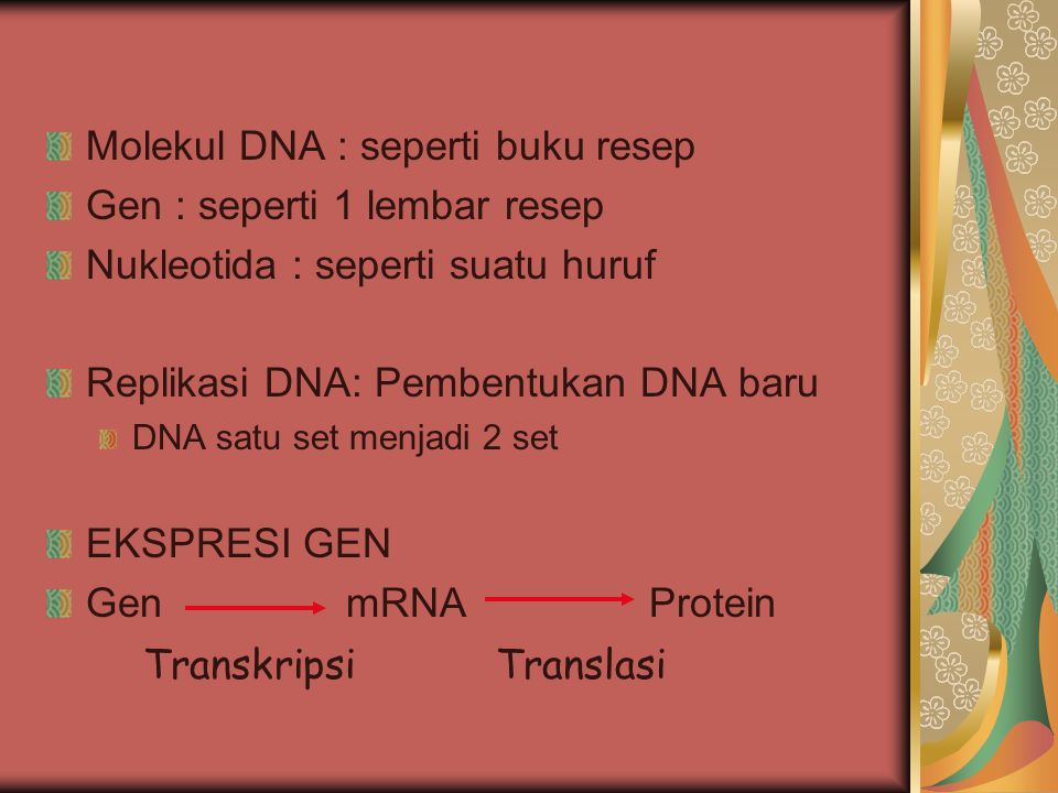 Molekul DNA : seperti buku resep Gen : seperti 1 lembar resep