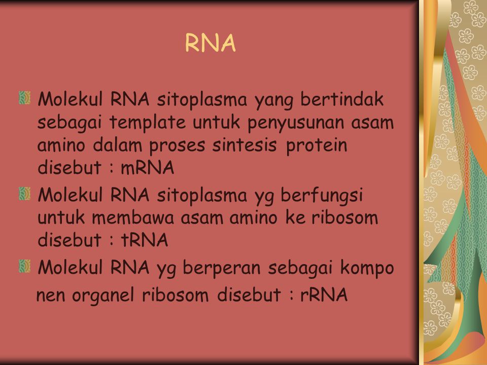 RNA Molekul RNA sitoplasma yang bertindak sebagai template untuk penyusunan asam amino dalam proses sintesis protein disebut : mRNA.