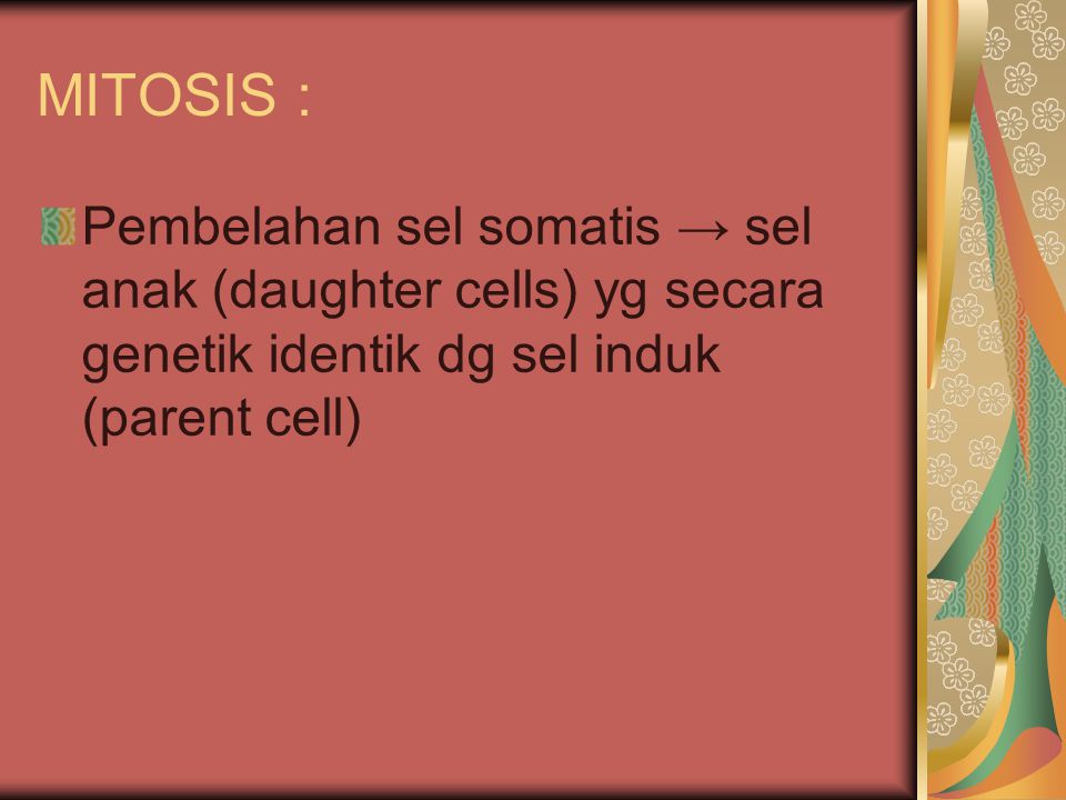 MITOSIS : Pembelahan sel somatis → sel anak (daughter cells) yg secara genetik identik dg sel induk (parent cell)