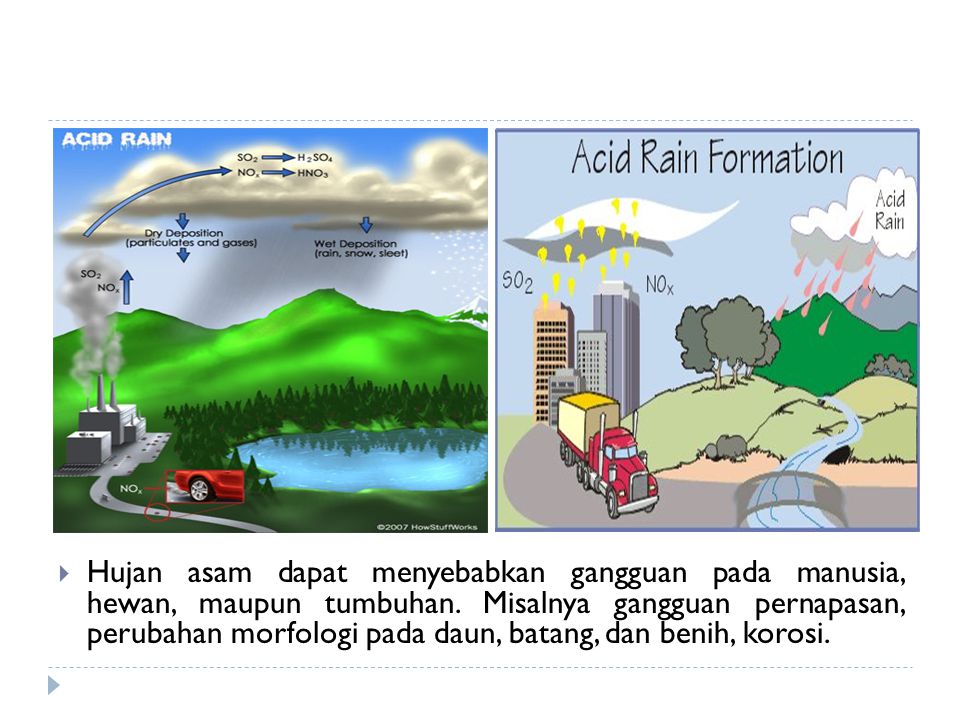 Hujan asam dapat menyebabkan gangguan pada manusia, hewan, maupun tumbuhan.