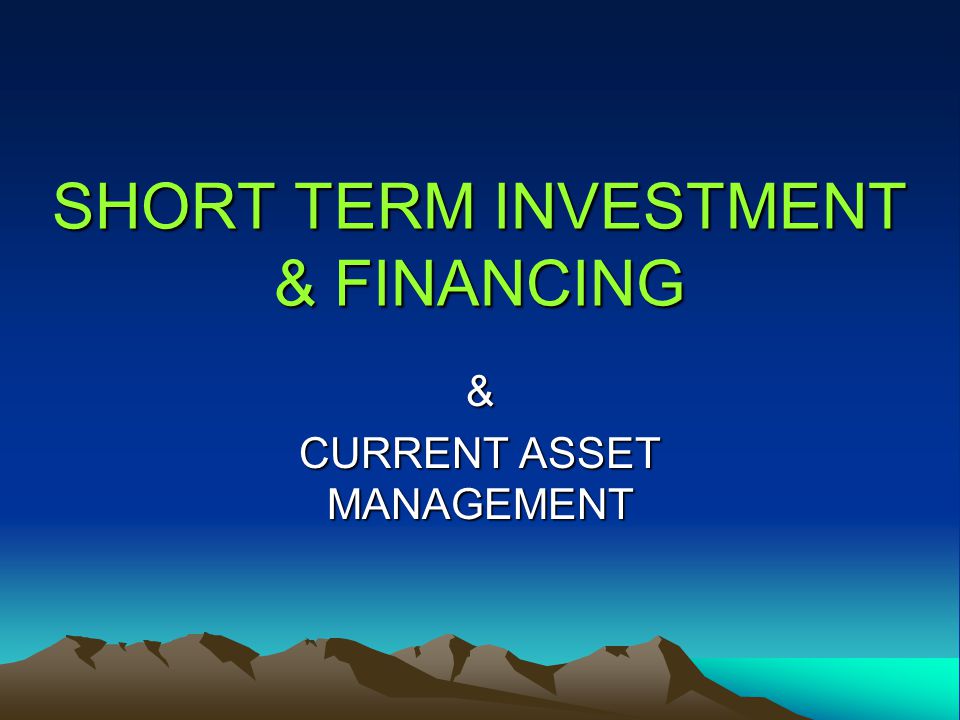 SHORT TERM INVESTMENT & FINANCING