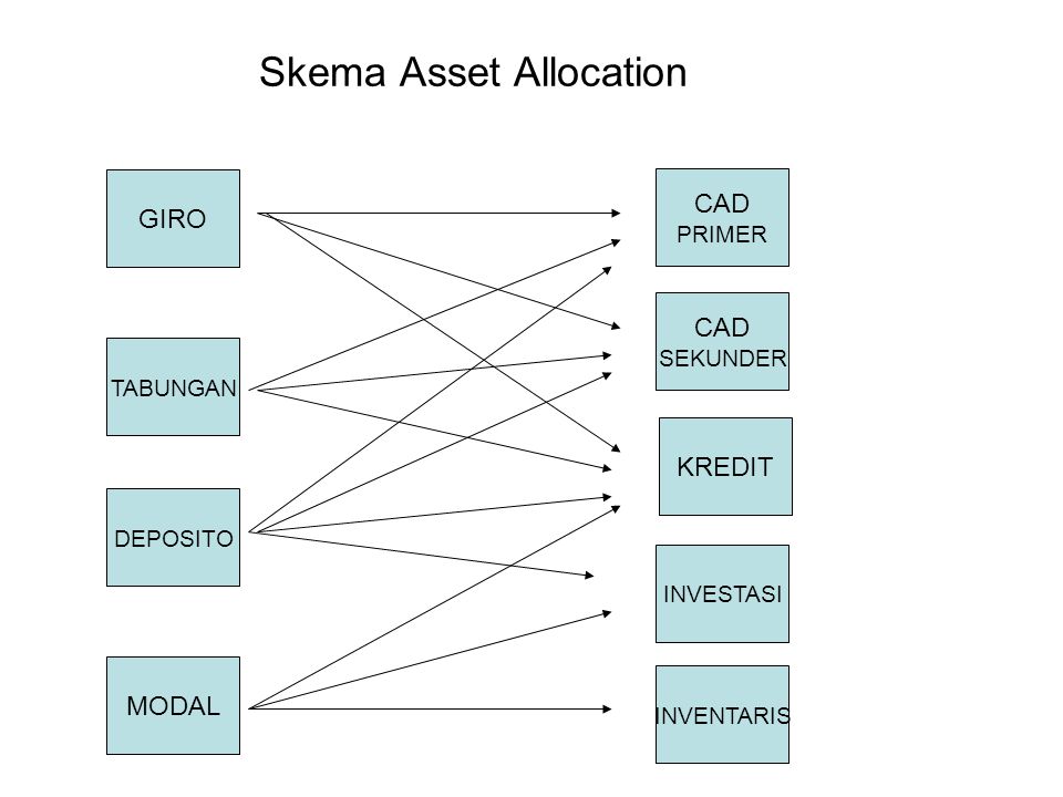 Skema Asset Allocation