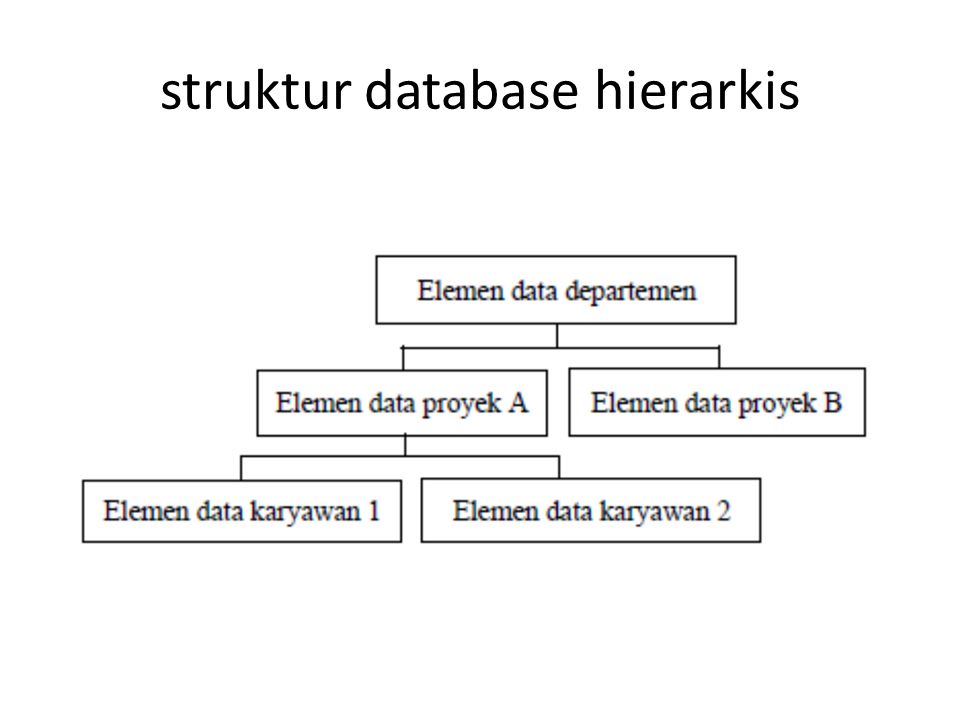 struktur database hierarkis