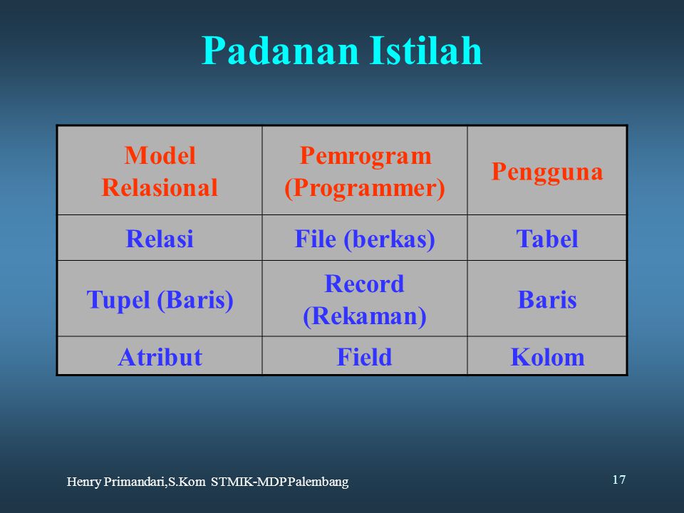 Pemrogram (Programmer)