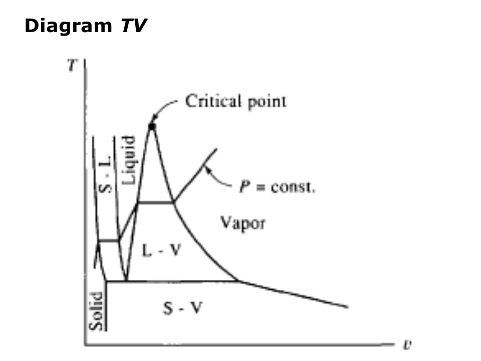 Diagram TV