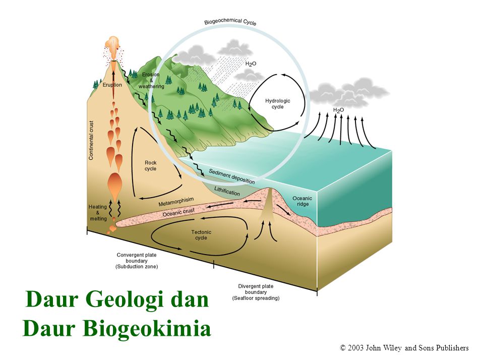 Daur Geologi dan Daur Biogeokimia