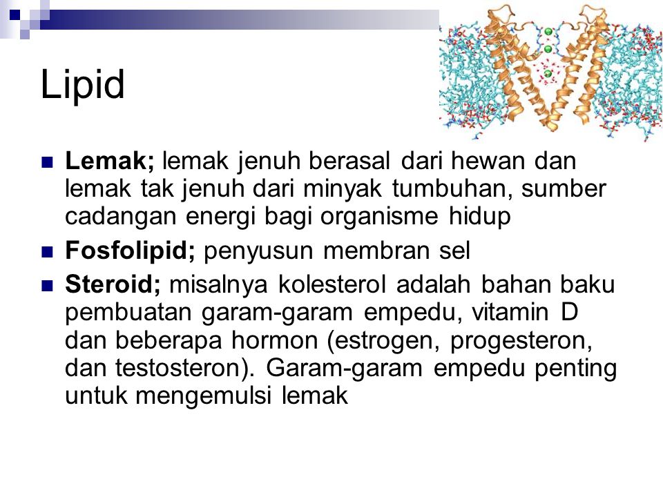 Lipid Lemak; lemak jenuh berasal dari hewan dan lemak tak jenuh dari minyak tumbuhan, sumber cadangan energi bagi organisme hidup.