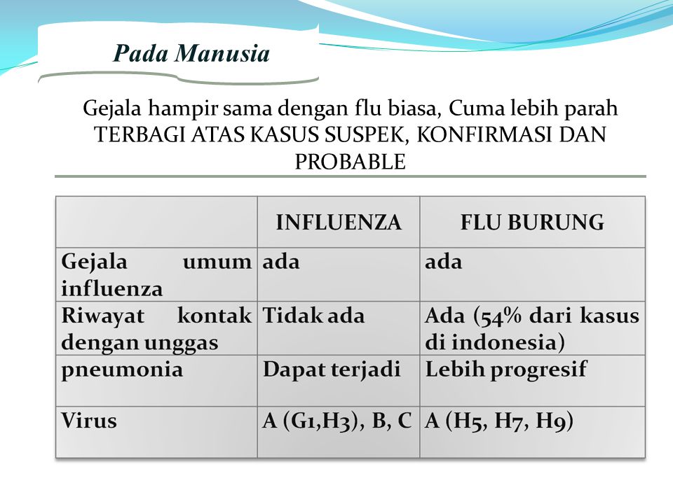 2. Pada Manusia Gejala hampir sama dengan flu biasa, Cuma lebih parah