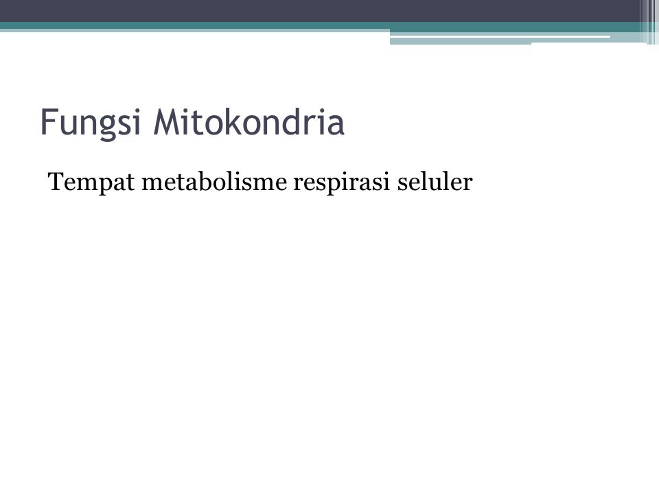 Fungsi Mitokondria Tempat metabolisme respirasi seluler