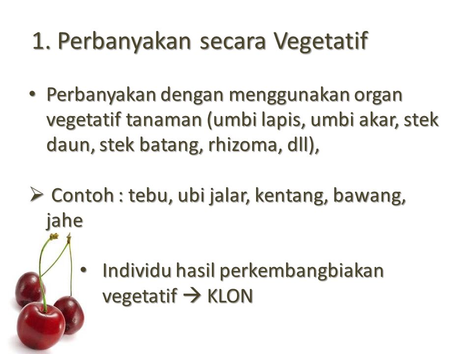 1. Perbanyakan secara Vegetatif