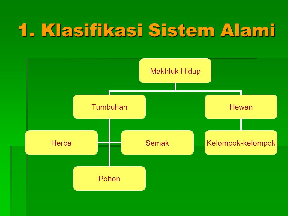 1. Klasifikasi Sistem Alami