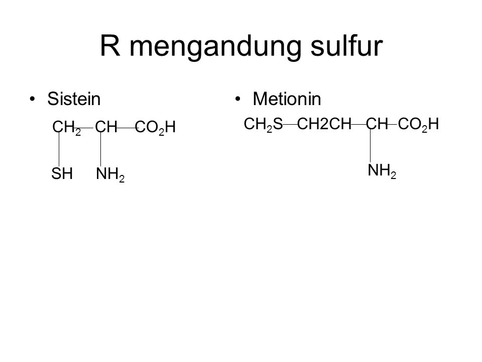 R mengandung sulfur Sistein CH2 CH CO2H Metionin CH2S CH2CH CH CO2H