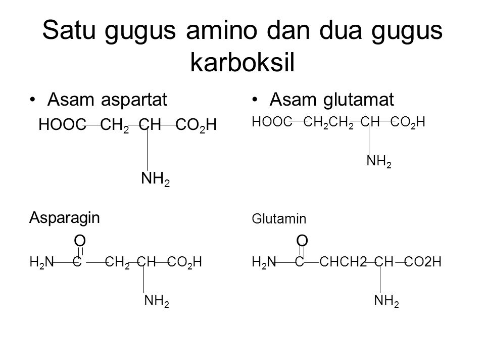 Satu gugus amino dan dua gugus karboksil