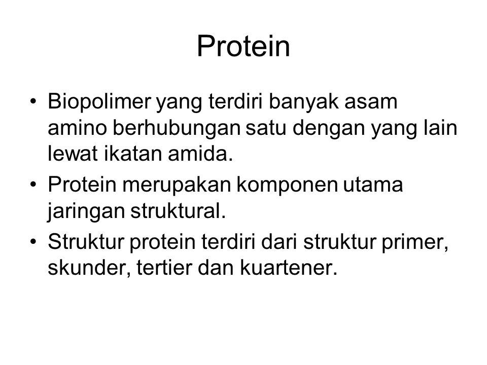 Protein Biopolimer yang terdiri banyak asam amino berhubungan satu dengan yang lain lewat ikatan amida.