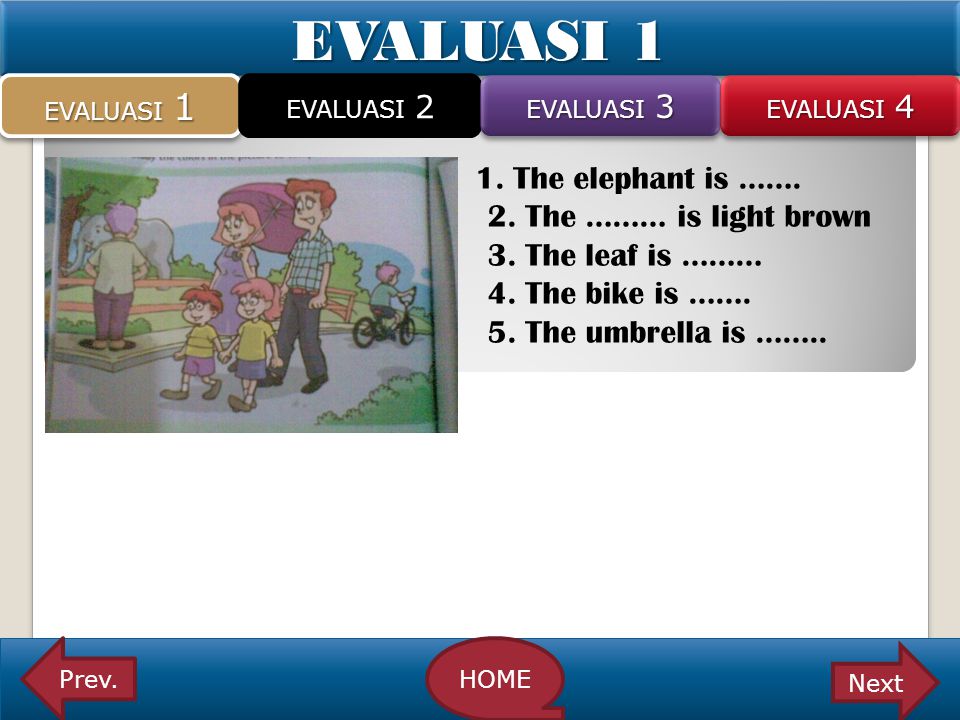 EVALUASI 1 2. The ……… is light brown 3. The leaf is ………