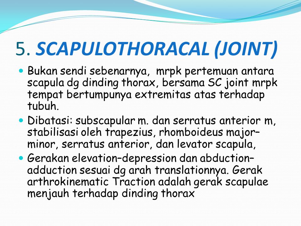 5. SCAPULOTHORACAL (JOINT)