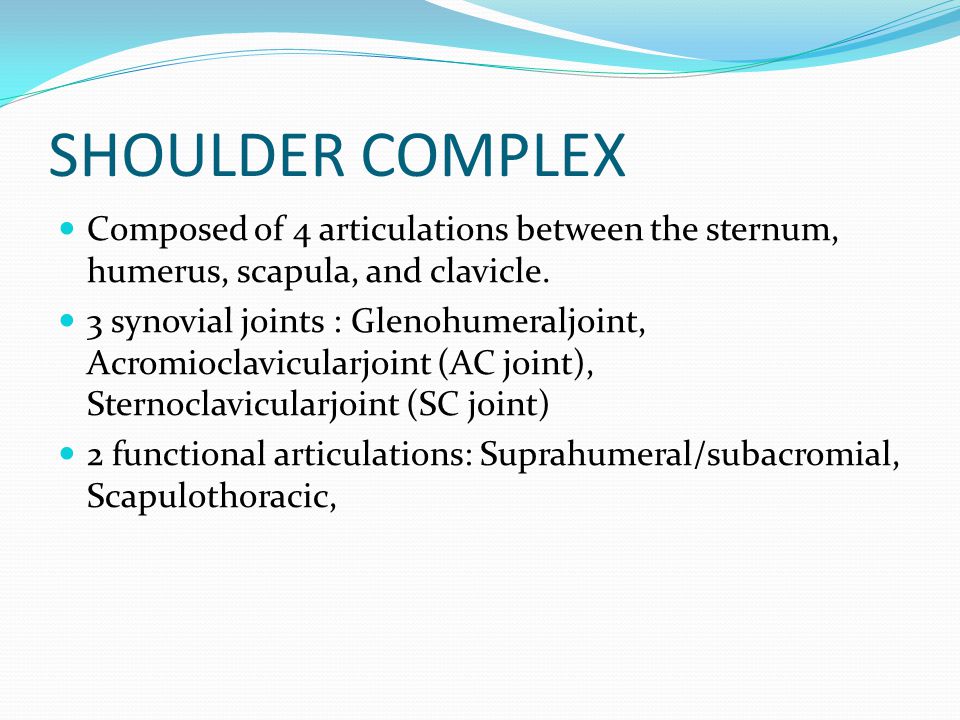 SHOULDER COMPLEX Composed of 4 articulations between the sternum, humerus, scapula, and clavicle.