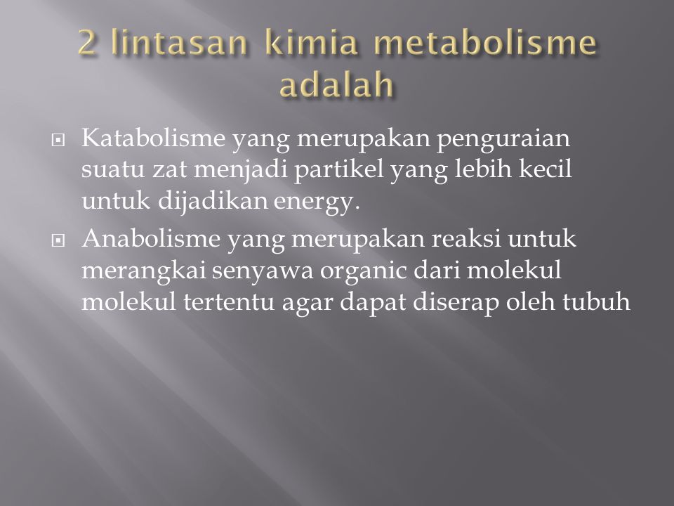 2 lintasan kimia metabolisme adalah