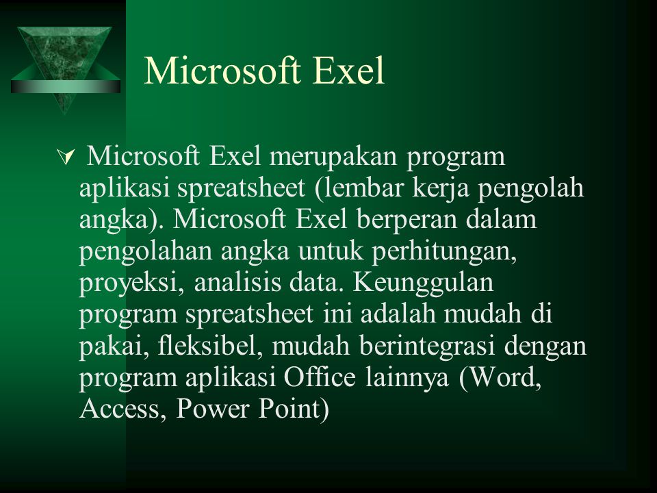 Microsoft Exel