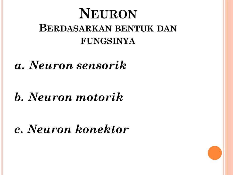 Neuron Berdasarkan bentuk dan fungsinya