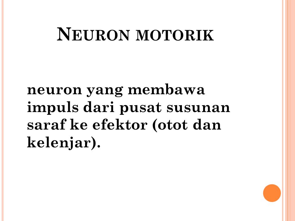 Neuron motorik neuron yang membawa impuls dari pusat susunan saraf ke efektor (otot dan kelenjar).
