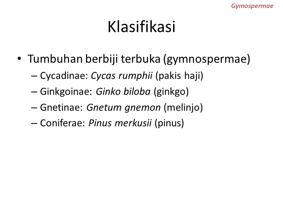 Klasifikasi Tumbuhan berbiji terbuka (gymnospermae)