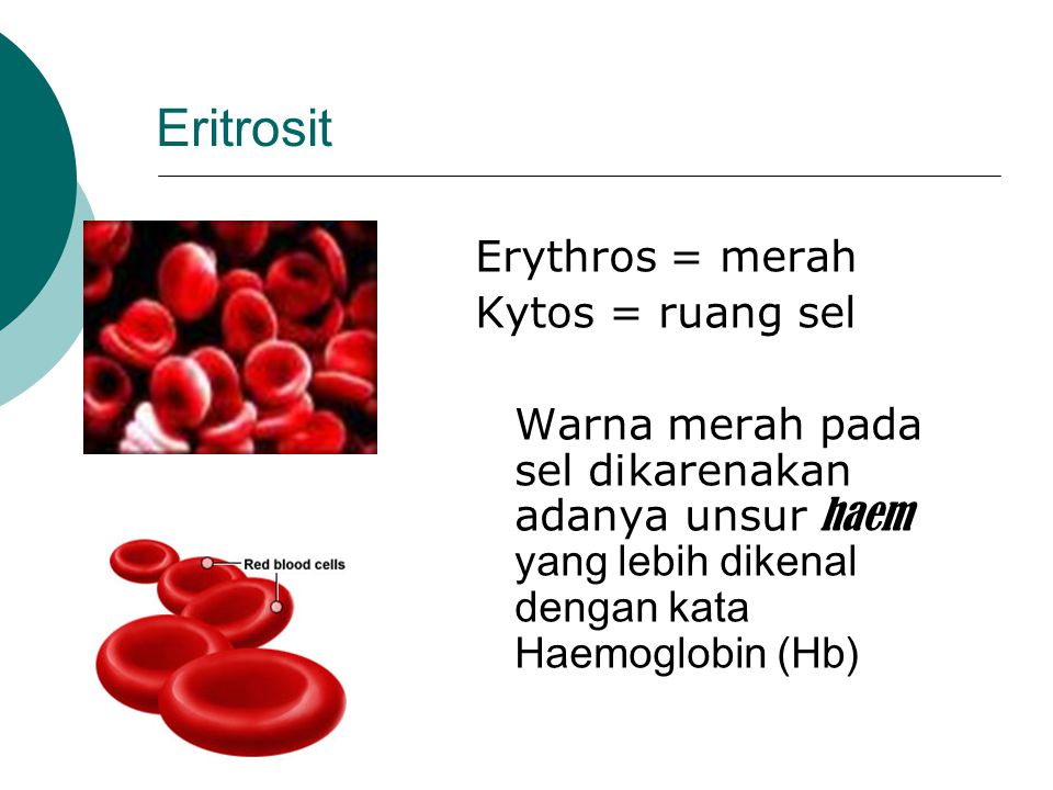 Eritrosit Erythros = merah Kytos = ruang sel