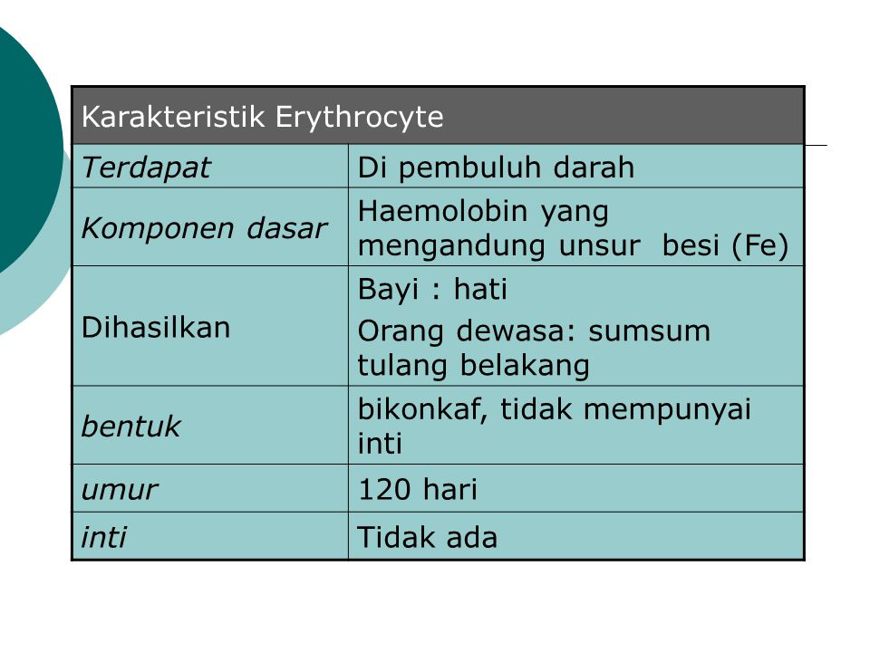 Karakteristik Erythrocyte