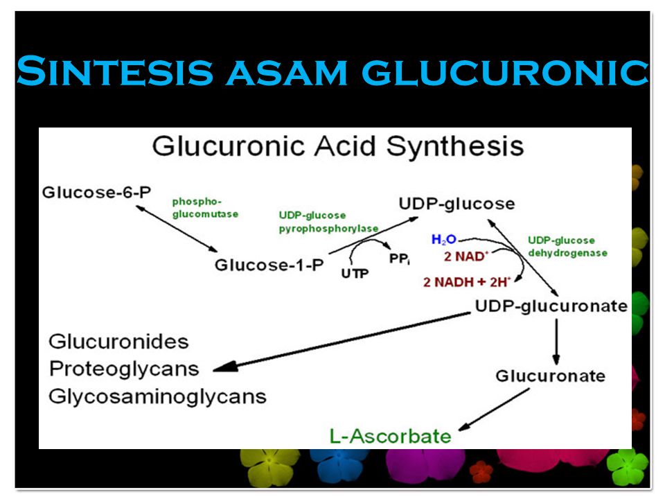 Sintesis asam glucuronic