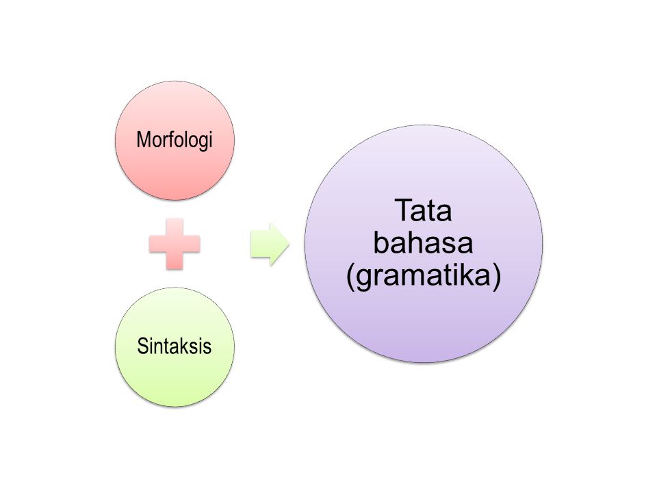 Tata bahasa (gramatika)