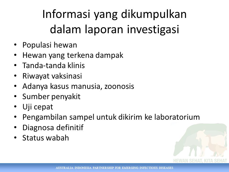 Informasi yang dikumpulkan dalam laporan investigasi