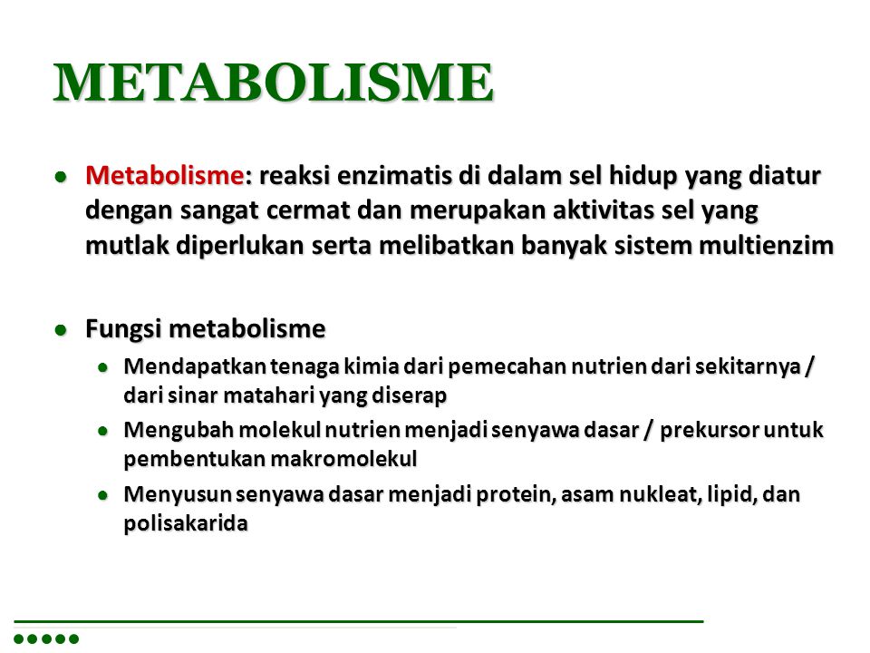 Enzim yang berperan dalam metabolisme