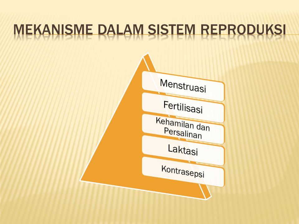 Mekanisme dalam sistem reproduksi