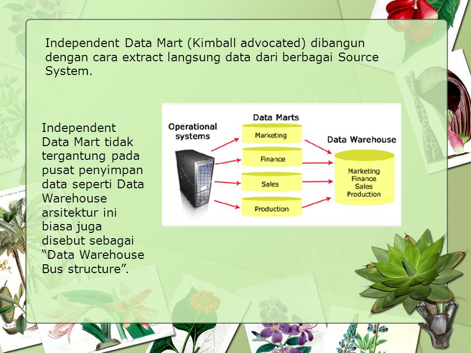 Independent Data Mart (Kimball advocated) dibangun dengan cara extract langsung data dari berbagai Source System.