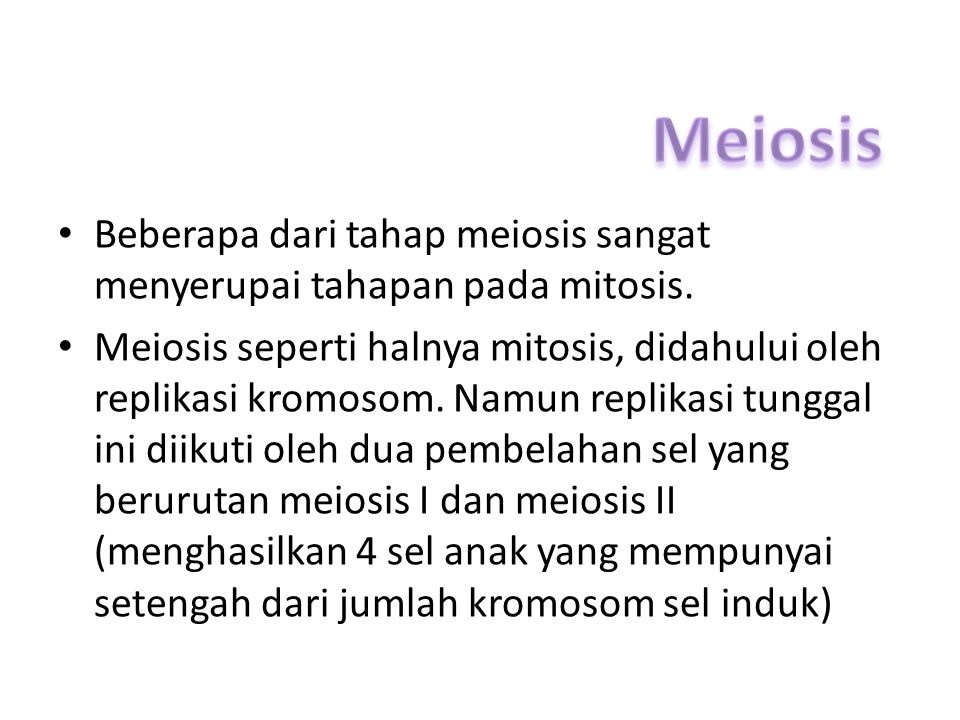 Meiosis Beberapa dari tahap meiosis sangat menyerupai tahapan pada mitosis.