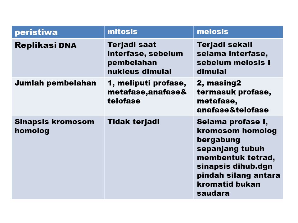peristiwa Replikasi DNA mitosis meiosis