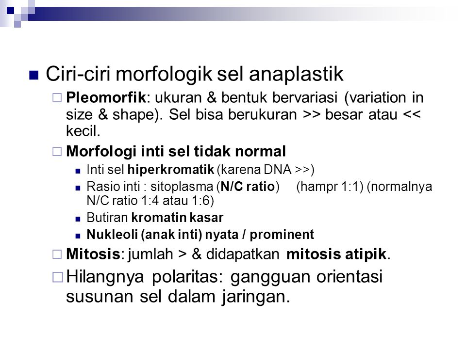 Ciri-ciri morfologik sel anaplastik