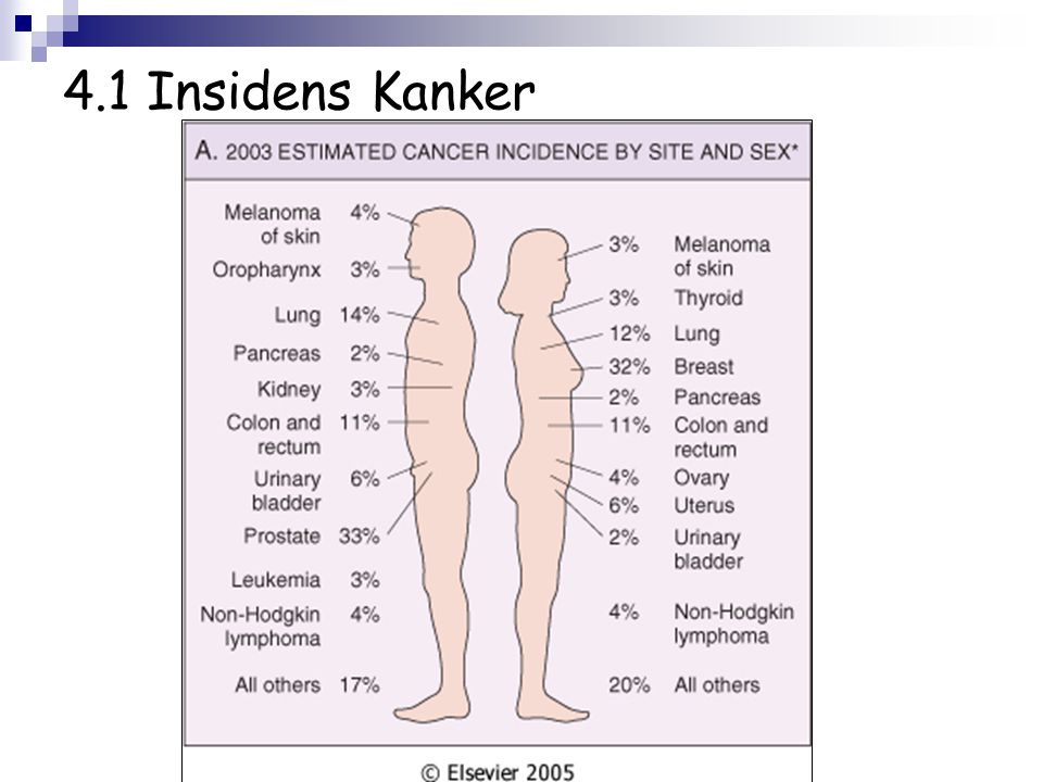 4.1 Insidens Kanker
