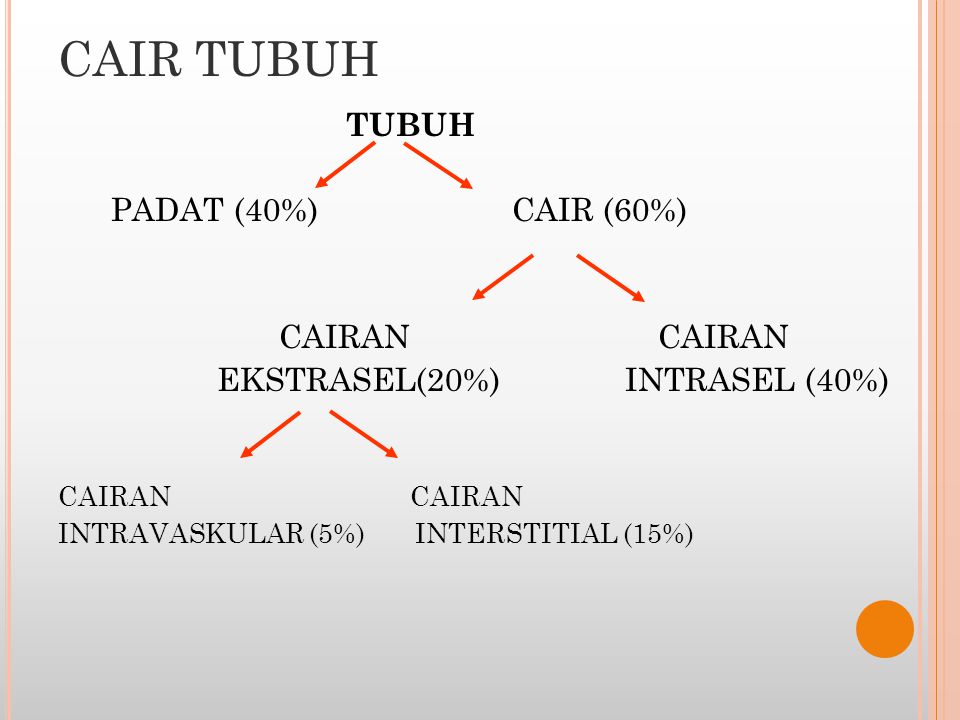 CAIR TUBUH PADAT (40%) CAIR (60%) CAIRAN CAIRAN